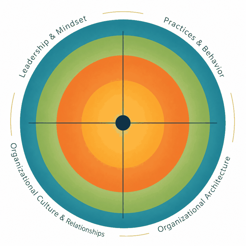 The four-lens model: Leadership & Mindset, Practices & Behaviour, Organisational Culture & Relationships, Organisational Architecture