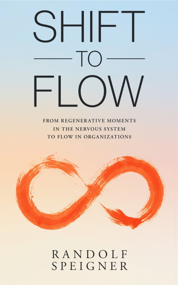 Shift to Flow — book cover